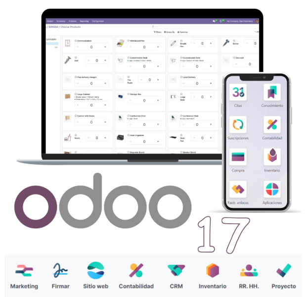 Odoo Audit